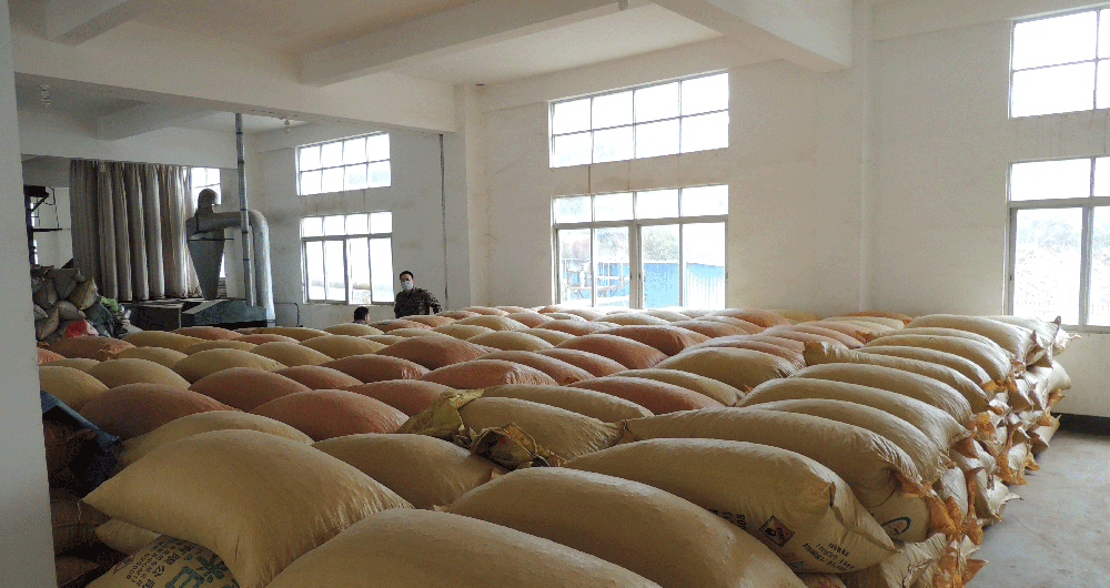 1458269252602100.gif (上图:生产基地原料(茶籽)仓库).gif