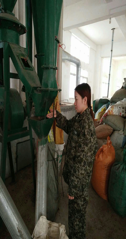 1458269351303976.gif (上图:机选剥壳及仁壳分离技术)2.gif