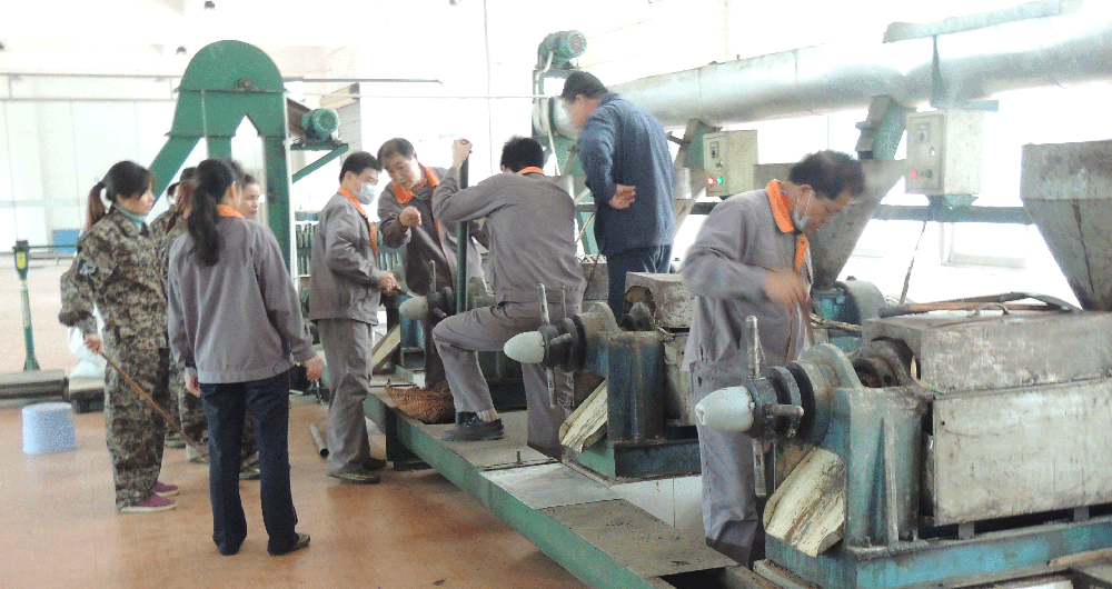 1458269391110931.gif (上图:生产基地采用物理压榨方法进行压榨)004.gif