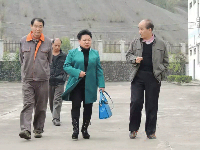 上图：张锋副总经理（左一）、胡敏副县长（左二）、陈泽和总经理（左三）.gif